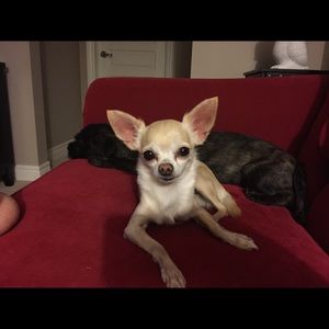 Meet your Posher, Melissa